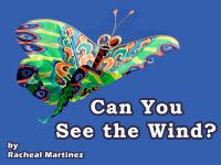 Can_You_See_the_Wind